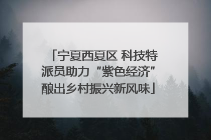 宁夏西夏区 科技特派员助力“紫色经济”酿出乡村振兴新风味