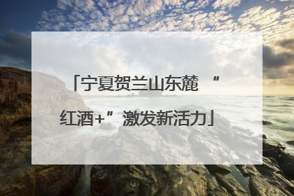 宁夏贺兰山东麓 “红酒+”激发新活力