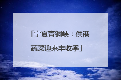 宁夏青铜峡：供港蔬菜迎来丰收季