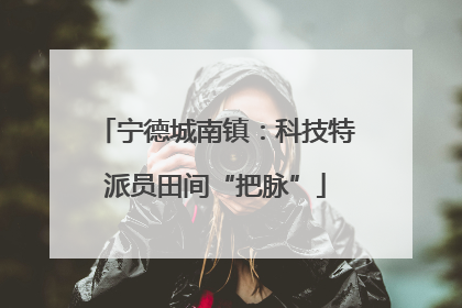 宁德城南镇：科技特派员田间“把脉”