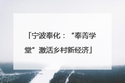 宁波奉化：“奉菁学堂”激活乡村新经济