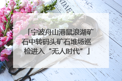 宁波舟山港鼠浪湖矿石中转码头矿石堆场巡检进入“无人时代”