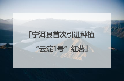 宁洱县首次引进种植“云淀1号”红薯