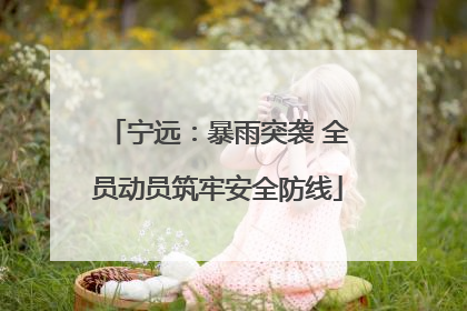 宁远：暴雨突袭 全员动员筑牢安全防线