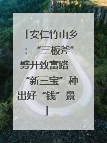 安仁竹山乡：“三板斧”劈开致富路 “新三宝”种出好“钱”景