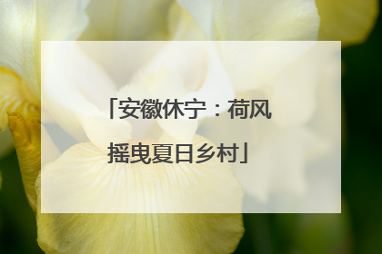 安徽休宁：荷风摇曳夏日乡村