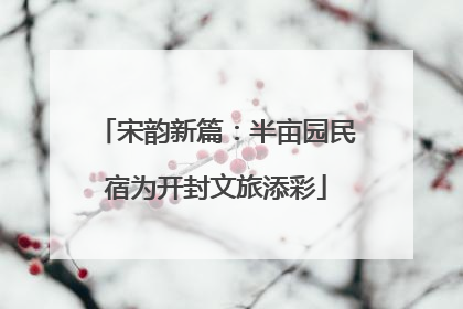 宋韵新篇：半亩园民宿为开封文旅添彩