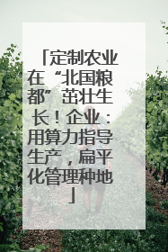 定制农业在“北国粮都”茁壮生长！企业：用算力指导生产，扁平化管理种地