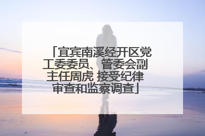 宜宾南溪经开区党工委委员、管委会副主任周虎 接受纪律审查和监察调查