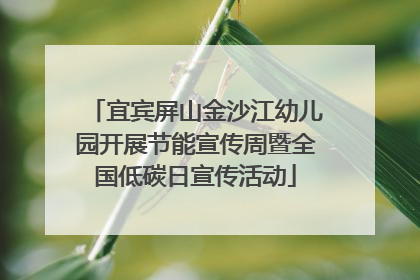 宜宾屏山金沙江幼儿园开展节能宣传周暨全国低碳日宣传活动