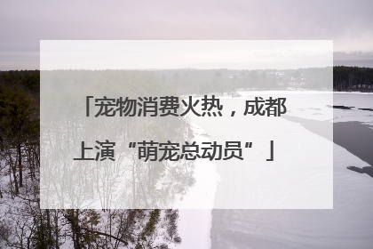 宠物消费火热，成都上演“萌宠总动员”