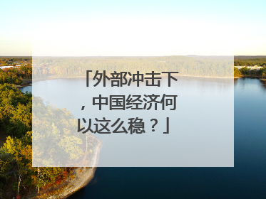 外部冲击下，中国经济何以这么稳？