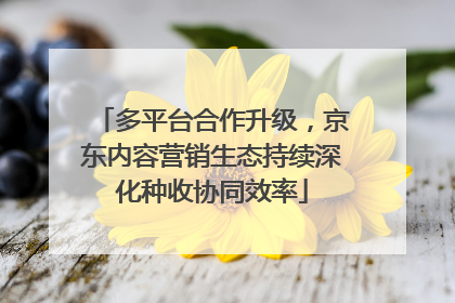 多平台合作升级，京东内容营销生态持续深化种收协同效率