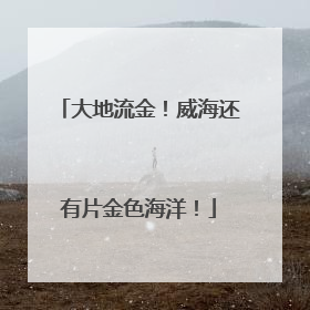 大地流金！威海还有片金色海洋！