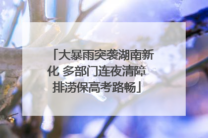 大暴雨突袭湖南新化 多部门连夜清障排涝保高考路畅