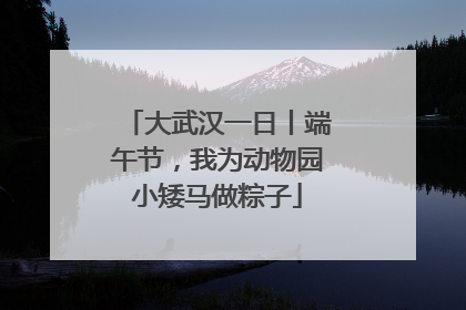 大武汉一日丨端午节，我为动物园小矮马做粽子
