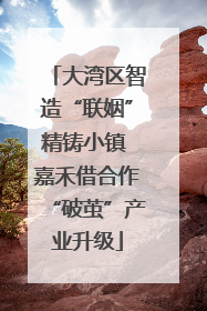 大湾区智造“联姻”精铸小镇 嘉禾借合作“破茧”产业升级