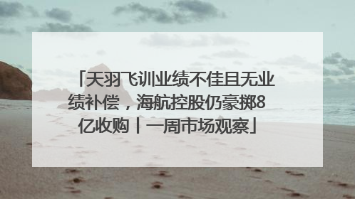 天羽飞训业绩不佳且无业绩补偿，海航控股仍豪掷8亿收购丨一周市场观察