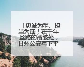 忠诚为墨、担当为锋！在千年丝路的褶皱处，甘州公安写下平安的注脚