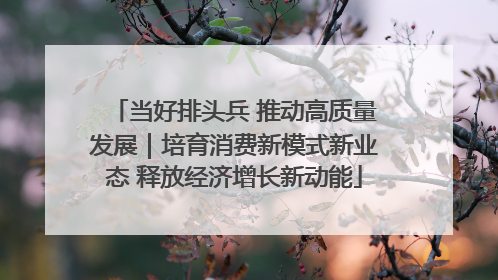 当好排头兵 推动高质量发展｜培育消费新模式新业态 释放经济增长新动能