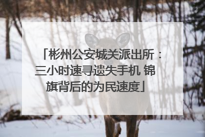彬州公安城关派出所：三小时速寻遗失手机 锦旗背后的为民速度