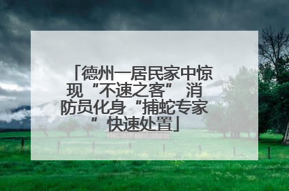 德州一居民家中惊现“不速之客” 消防员化身“捕蛇专家”快速处置