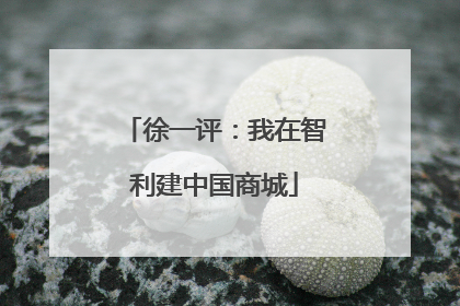 徐一评：我在智利建中国商城