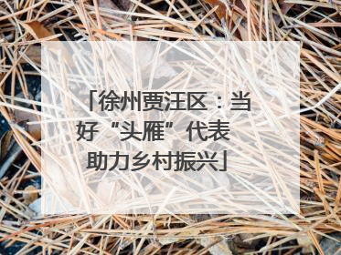 徐州贾汪区：当好“头雁”代表 助力乡村振兴