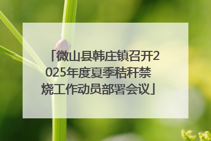 微山县韩庄镇召开2025年度夏季秸秆禁烧工作动员部署会议