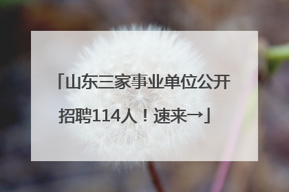 山东三家事业单位公开招聘114人！速来→