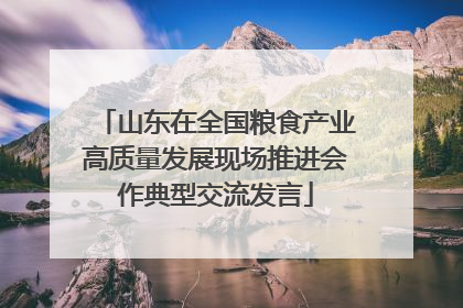 山东在全国粮食产业高质量发展现场推进会作典型交流发言