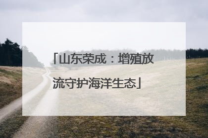 山东荣成：增殖放流守护海洋生态