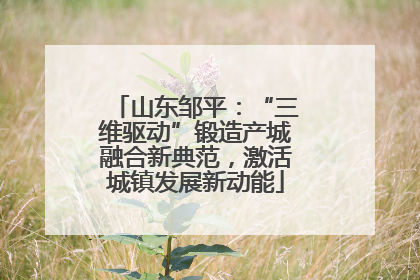 山东邹平：“三维驱动”锻造产城融合新典范，激活城镇发展新动能