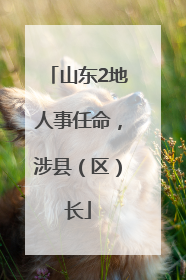 山东2地人事任命，涉县（区）长