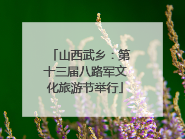 山西武乡：第十三届八路军文化旅游节举行