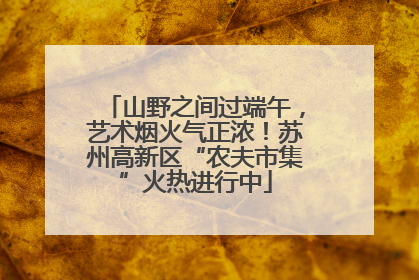 山野之间过端午，艺术烟火气正浓！苏州高新区“农夫市集”火热进行中