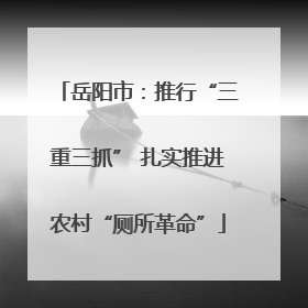 岳阳市：推行“三重三抓” 扎实推进农村“厕所革命”