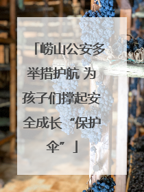 崂山公安多举措护航 为孩子们撑起安全成长“保护伞”