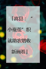 嵩县：“小蚕茧”织就助农增收新画卷