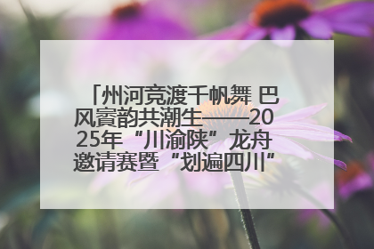州河竞渡千帆舞 巴风賨韵共潮生——2025年“川渝陕”龙舟邀请赛暨“划遍四川”达川站圆满收官