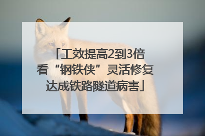 工效提高2到3倍 看“钢铁侠”灵活修复达成铁路隧道病害