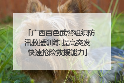 广西百色武警组织防汛救援训练 提高突发快速抢险救援能力