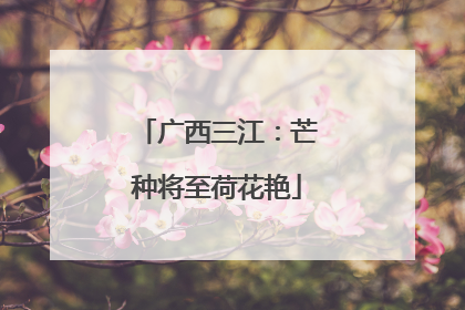 广西三江：芒种将至荷花艳