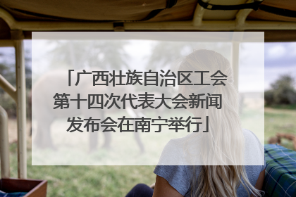 广西壮族自治区工会第十四次代表大会新闻发布会在南宁举行
