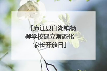 庐江县白湖镇杨柳学校建立常态化家长开放日