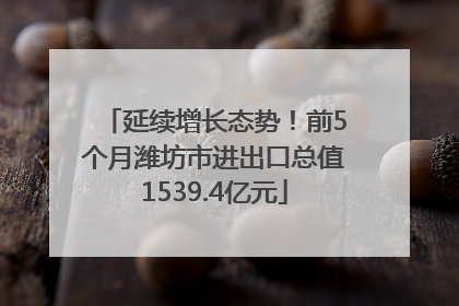 延续增长态势！前5个月潍坊市进出口总值1539.4亿元