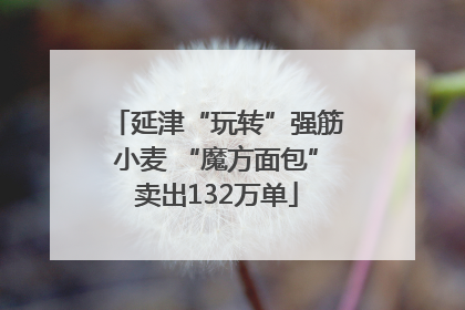 延津“玩转”强筋小麦 “魔方面包”卖出132万单