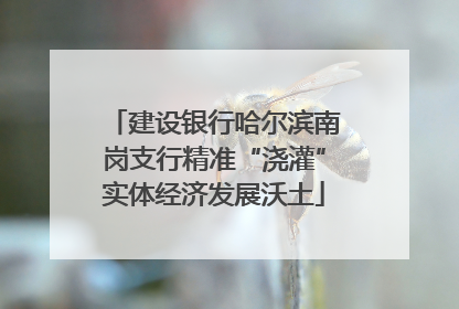 建设银行哈尔滨南岗支行精准“浇灌”实体经济发展沃土