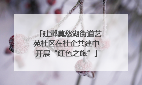 建邺莫愁湖街道艺苑社区在社企共建中开展“红色之旅”
