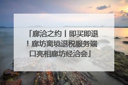 廊洽之约丨即买即退！廊坊离境退税服务端口亮相廊坊经洽会